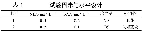 表1