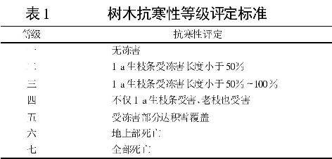 表1 树木抗寒性等级评定标准