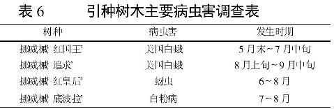 表6    引种树木主要病虫害调查表