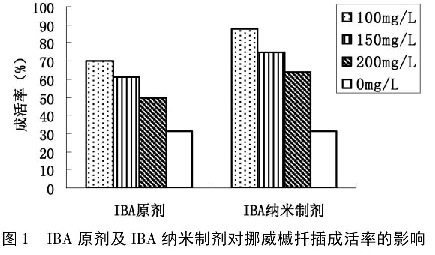 图1 IBA原剂及IBA纳米制剂对挪威黄金枫扦插成活率的影响
